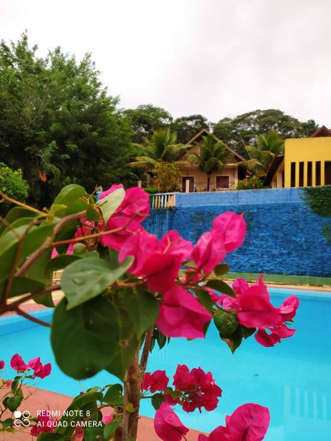 Guaramiranga-ce Chalé do Rei Villa Esterno foto
